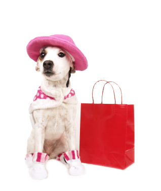shopping-dog2