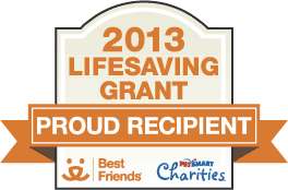 lifesaving_grant_logo_2013_WEB (1)