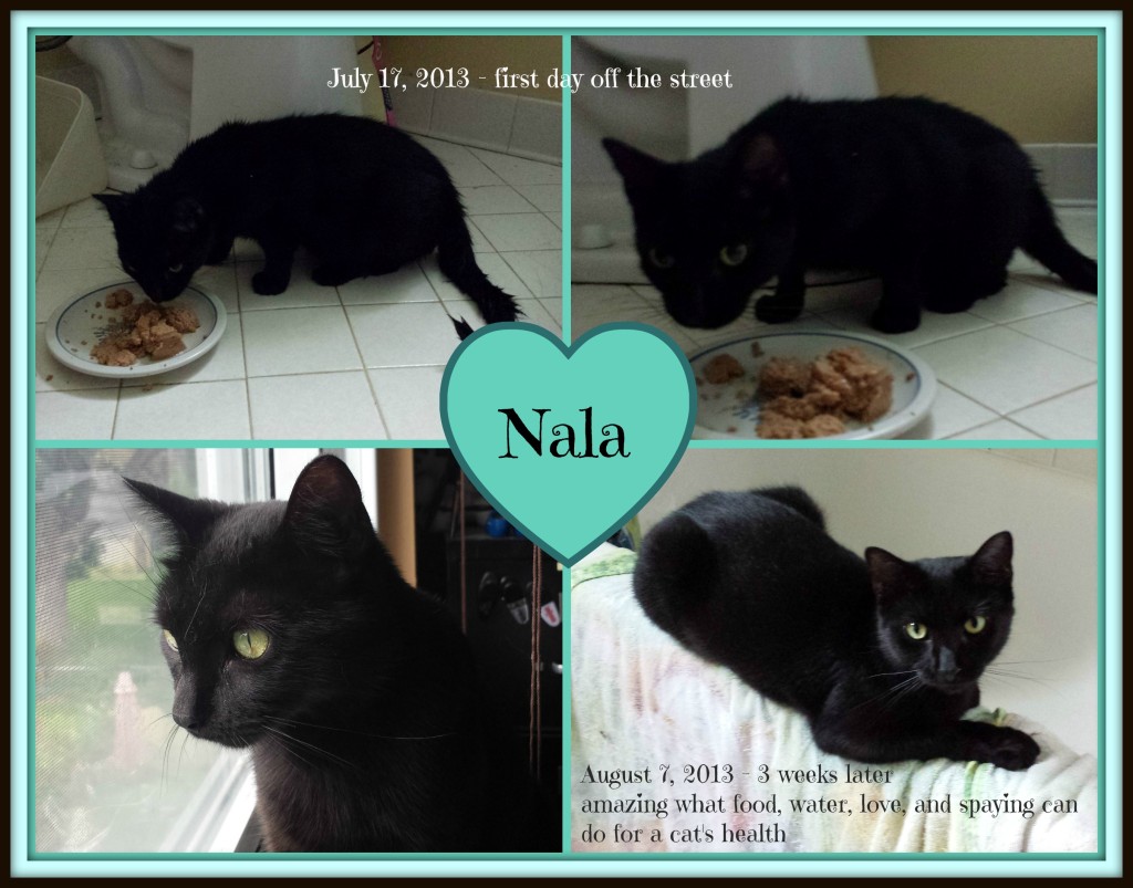 Nala before and after PicMonkey Collage