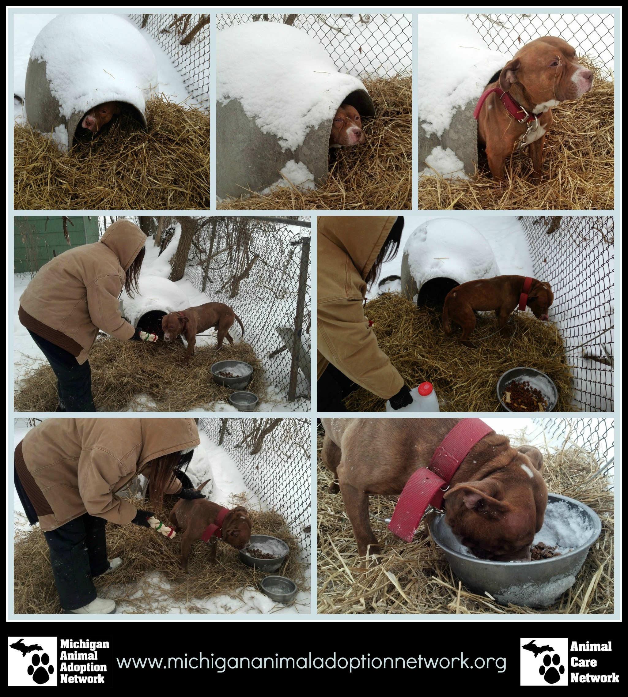 January 26 2014 PicMonkey Collage