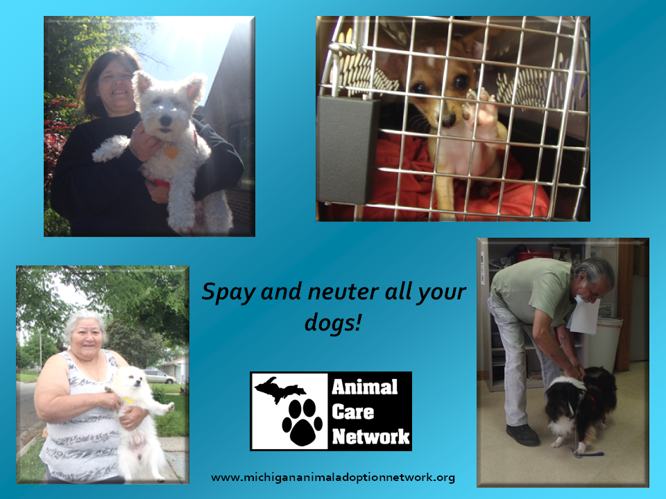 June 18 2014 spay and neuter all