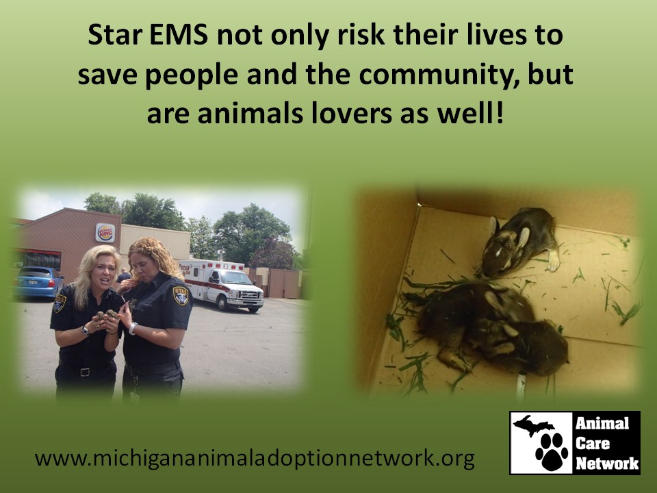 Star EMS not only risk their lives to