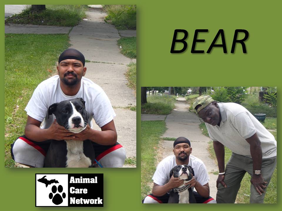 August 18 2014 Bear