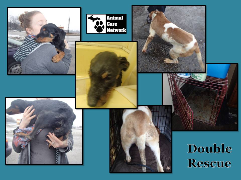 August 23 2014  Double Rescue