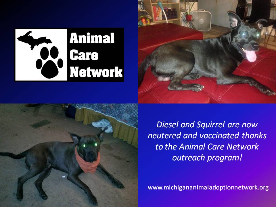 September 2 2014 Diesel and Squirrel