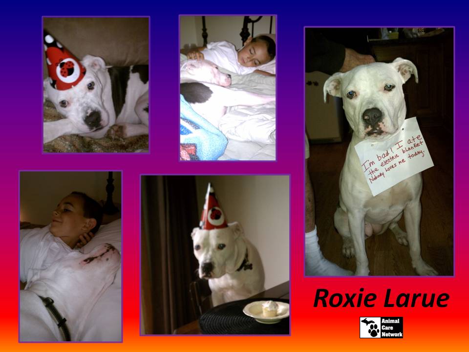 October 18 2014 Roxie Larue