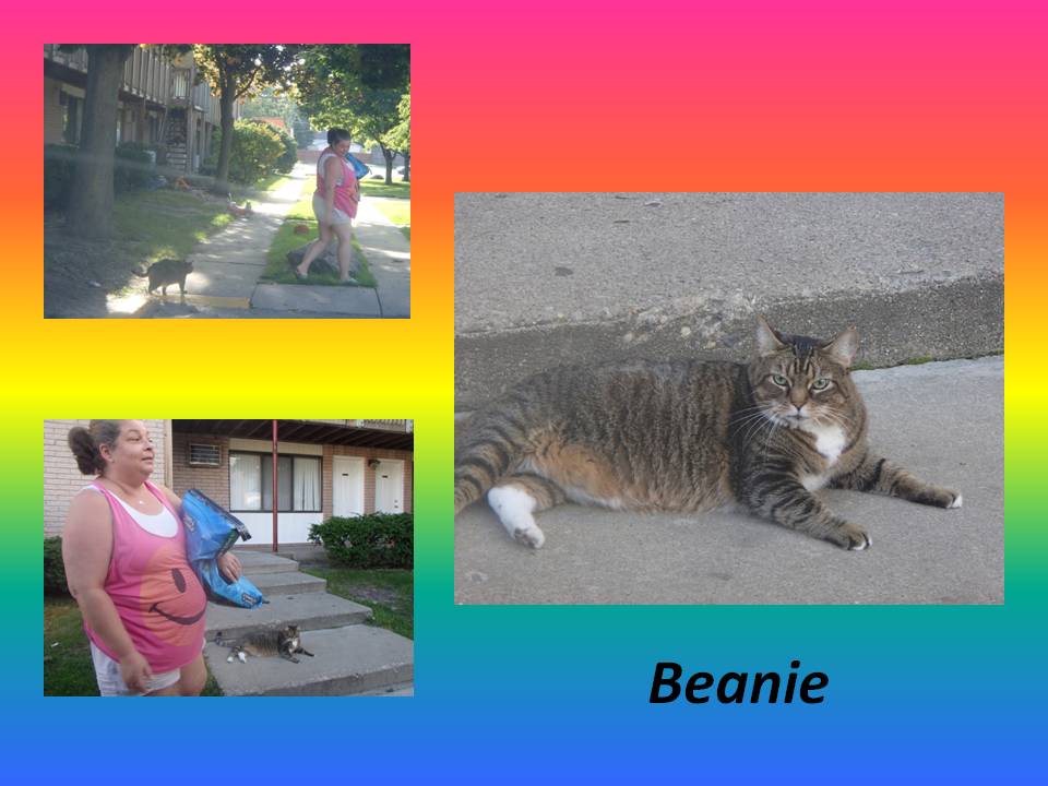 October 23 2014  Beanie