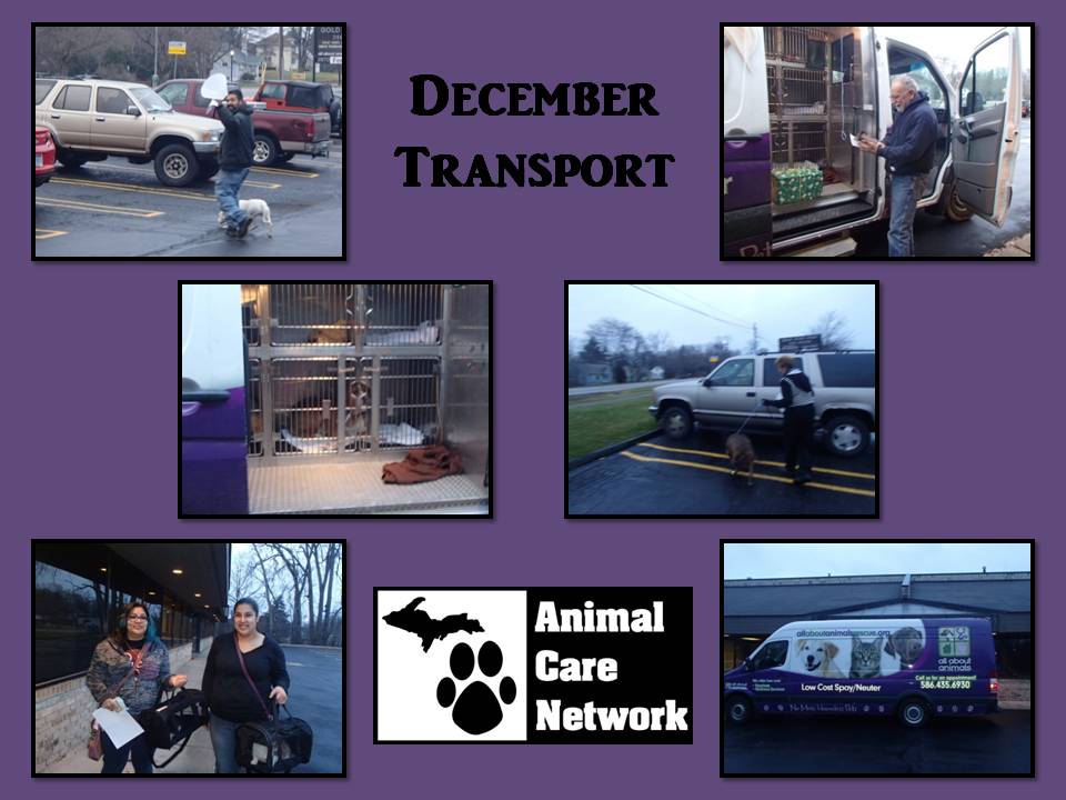 monthly spay neuter transport December