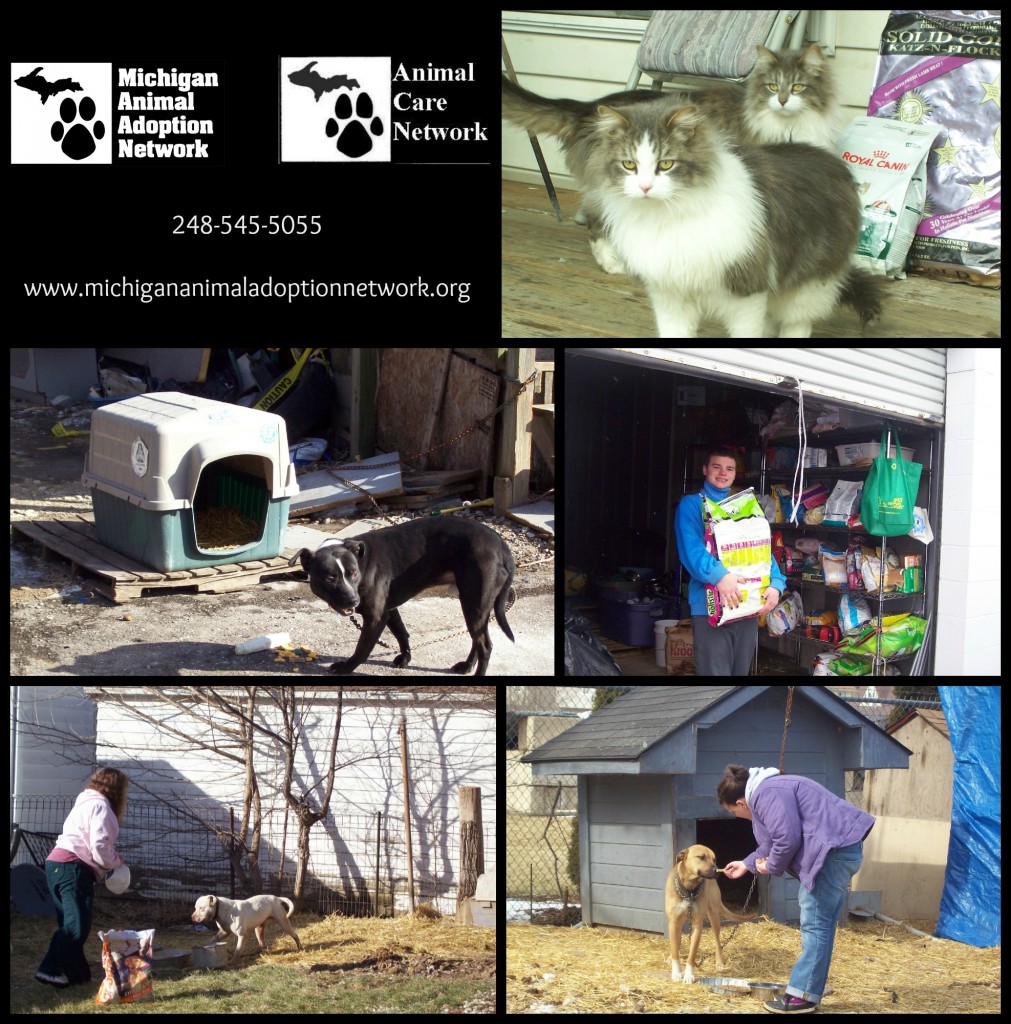 March 24, 2013 Food asistance program is working » Michigan Animal