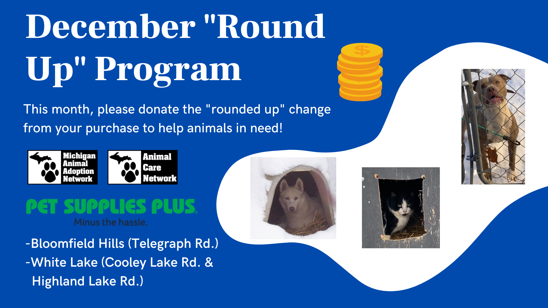 December 2022 Round Up Program » Michigan Animal Adoption Network