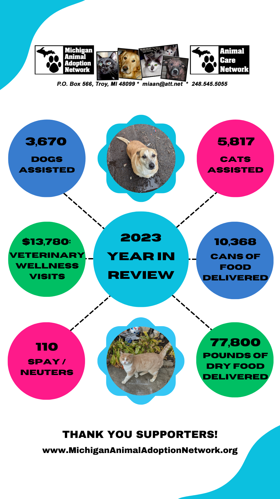 Curated visual reference: Gallery Detail: 2023 Year In Review Michigan Animal Adoption Network